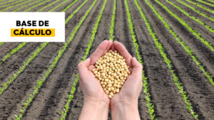 valores correntes, mercadorias e serviços, base de cálculo ICMS, grupo soja, Instrução Normativa, Goiás, preços soja, operações internas, operações interestaduais